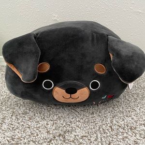 Mateo the Dog Valentine Squishmallow 12”